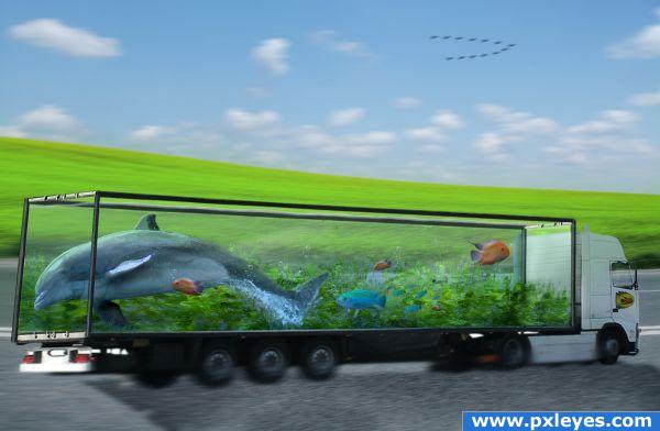 Fish Tank Truck